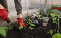 Nachhaltiges Dungermittel fur Garten und Land 200x125 - Nachhaltiges Düngermittel für Garten und Land